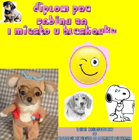 Diplom bez názvu.JPG