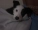 DSC00190.JPG