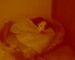 DSC00193.JPG