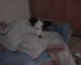 DSC00195.JPG