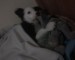 DSC00199.JPG