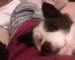 DSC00178.JPG