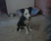 DSC00186.JPG