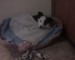 DSC00188.JPG